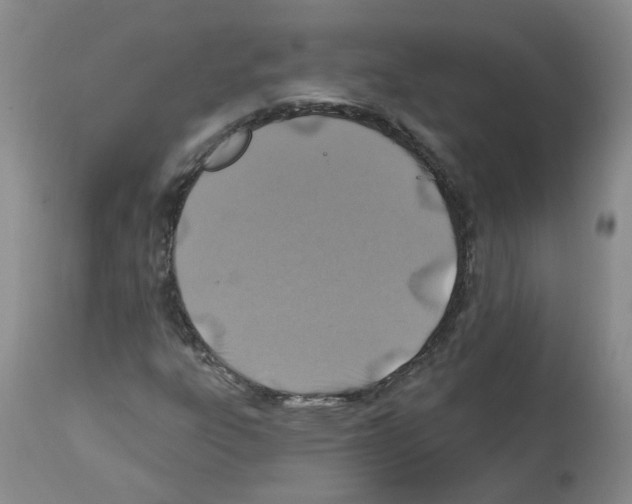 X0000112461303200909281010