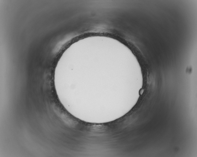 X0000112461304200909281010