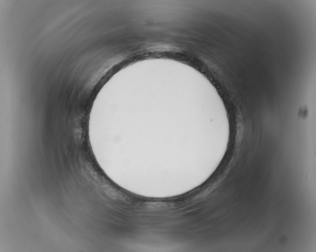X0000112461305200909281010