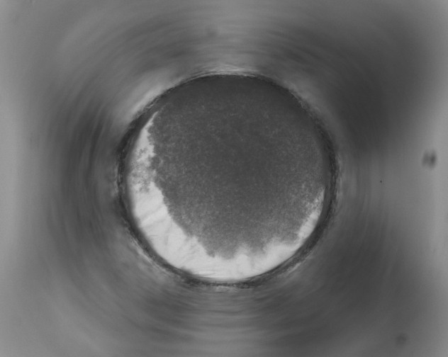 X0000112461306200909281010