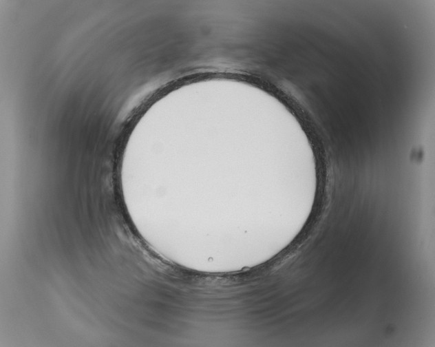 X0000112461307200909281010