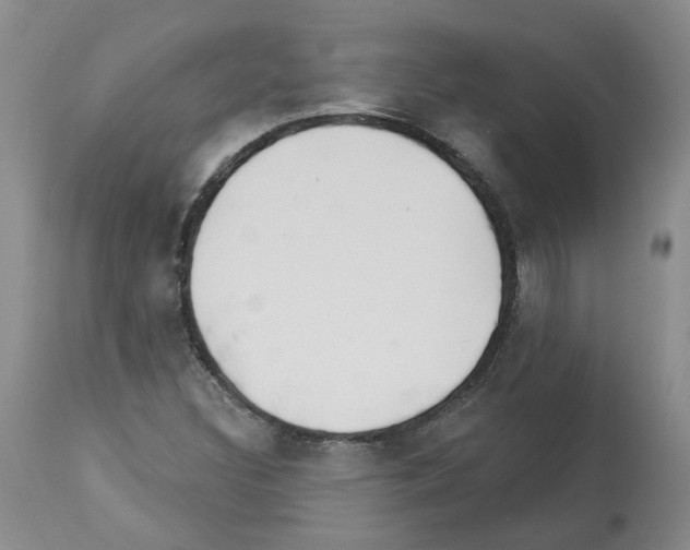 X0000112461308200909281010