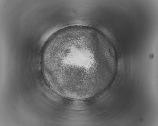 X0000112461310200909281010