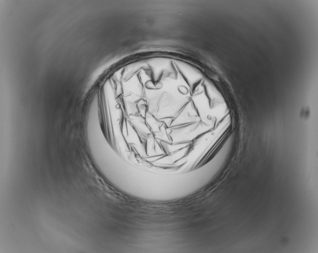 X0000112461312200909281010