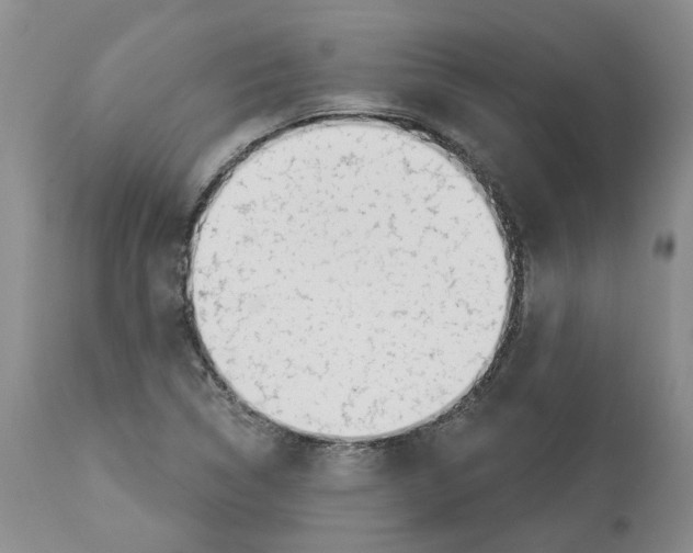 X0000112461314200909281010