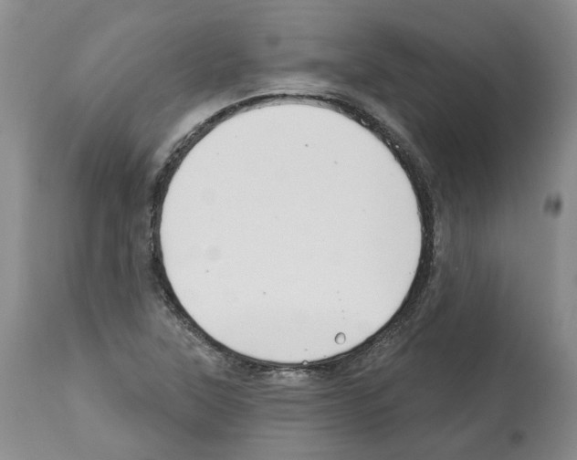 X0000112461315200909281010