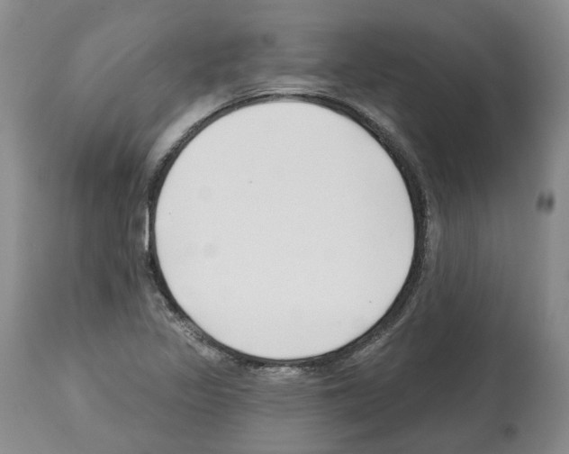 X0000112461317200909281010