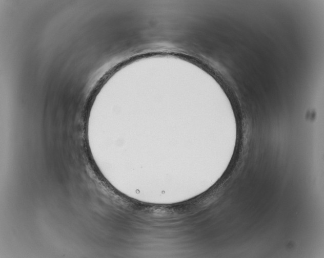 X0000112461318200909281010