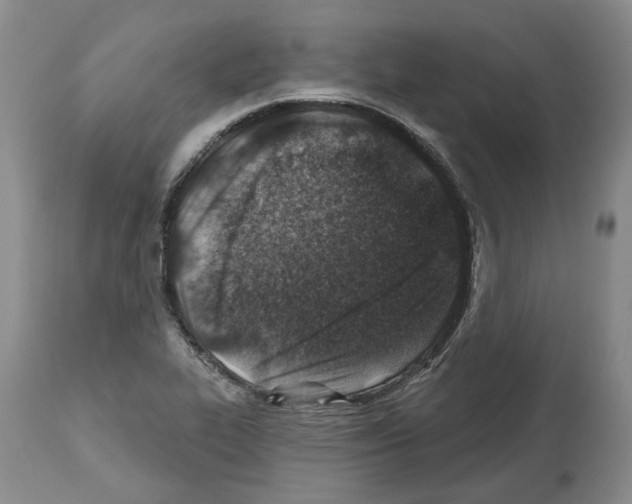 X0000112461319200909281010