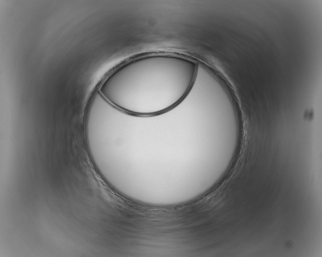 X0000112461320200909281010