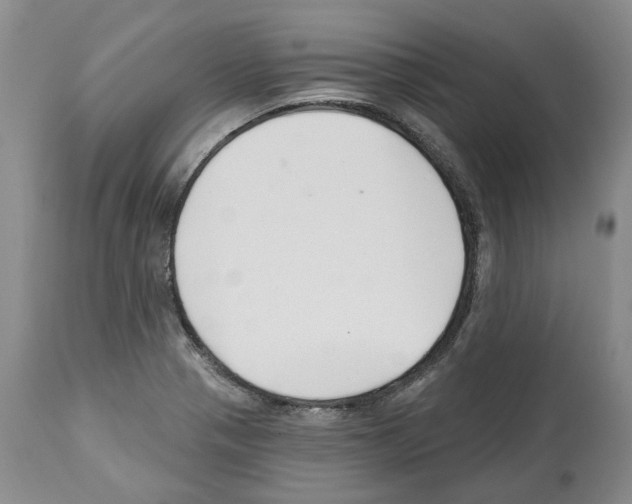 X0000112461321200909281010