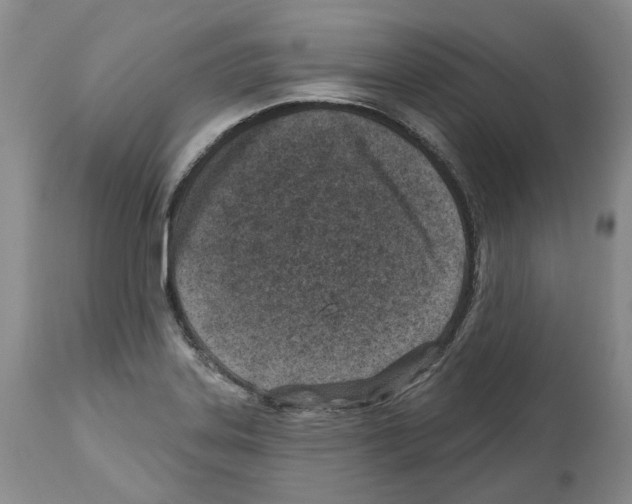 X0000112461323200909281010