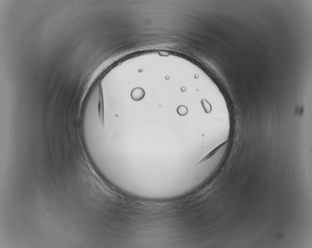 X0000112461324200909281010