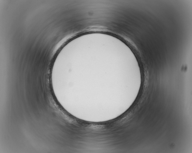 X0000112461325200909281010