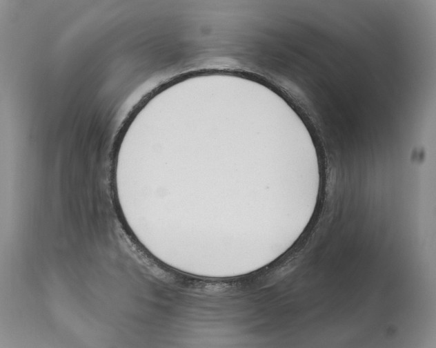 X0000112461326200909281010