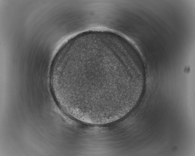 X0000112461327200909281010