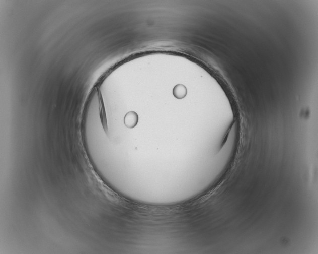 X0000112461328200909281010
