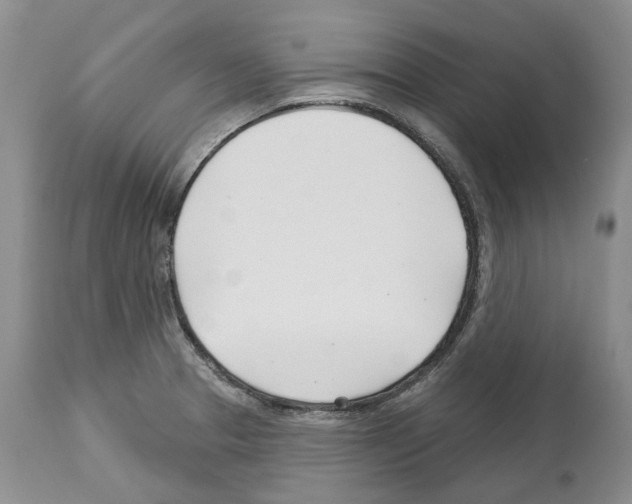X0000112461329200909281010