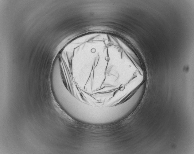 X0000112461330200909281010