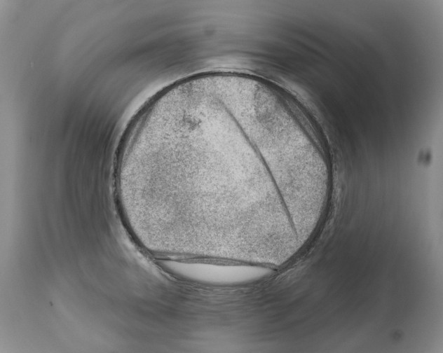 X0000112461331200909281011