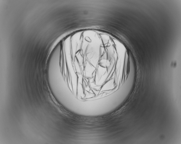 X0000112461332200909281011