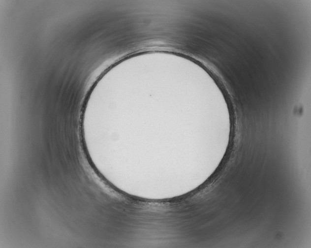 X0000112461333200909281011