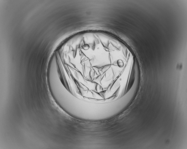X0000112461334200909281011