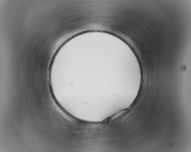 X0000112461335200909281011