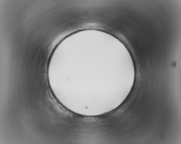 X0000112461336200909281011