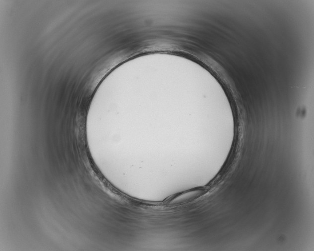 X0000112461337200909281011