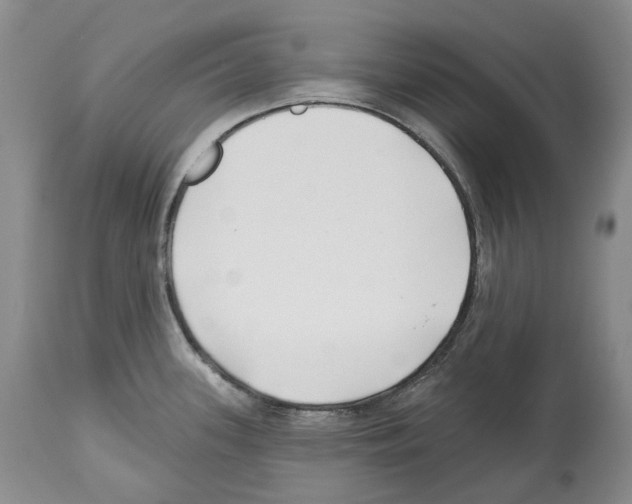 X0000112461339200909281011