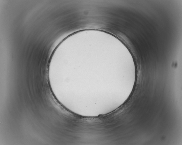 X0000112461340200909281011