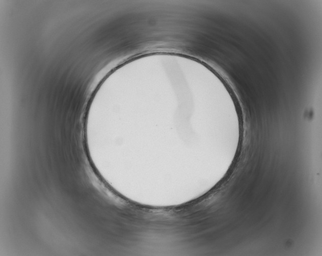 X0000112461341200909281011