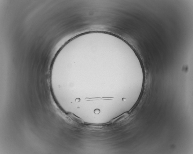 X0000112461342200909281011