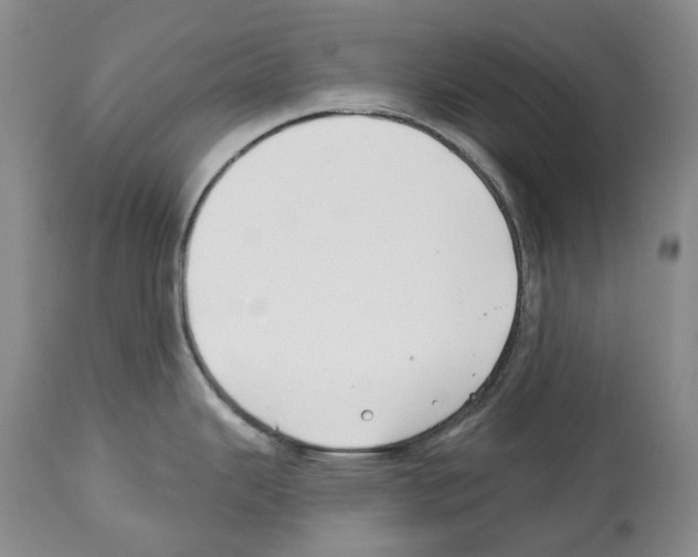 X0000112461343200909281011