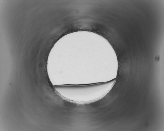 X0000112461345200909281010