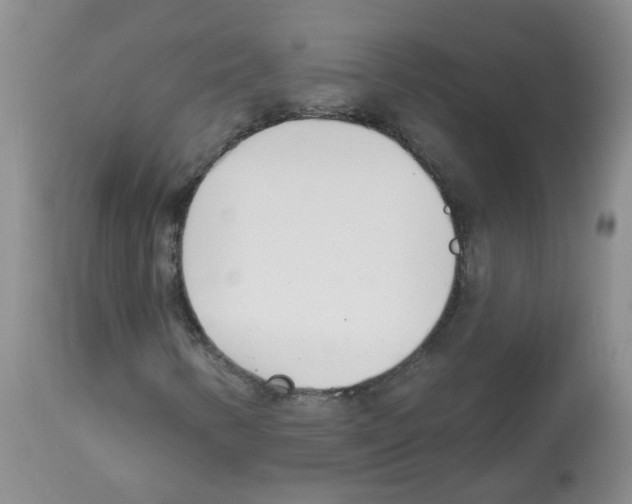 X0000112461346200909281010