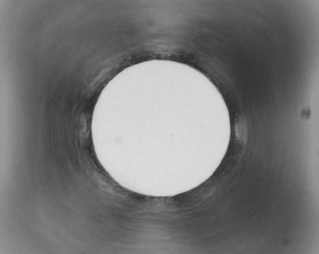 X0000112461347200909281010