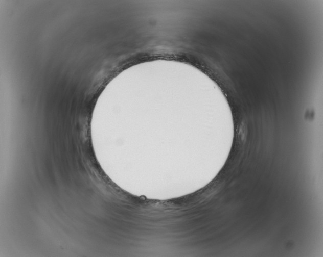 X0000112461348200909281010