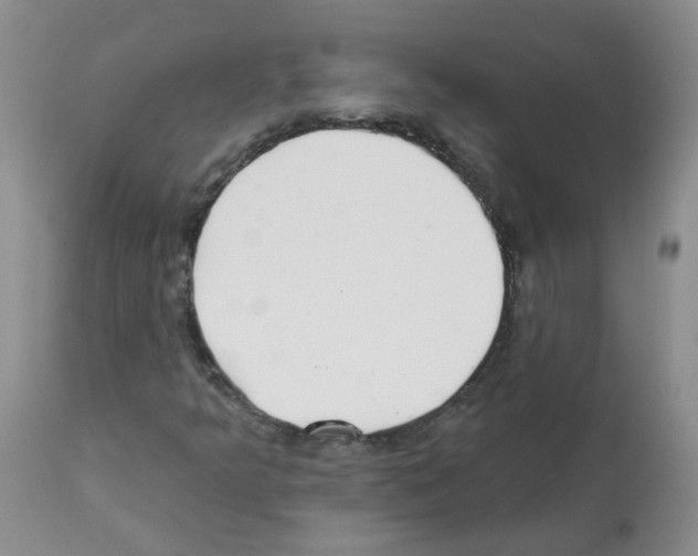X0000112461349200909281010