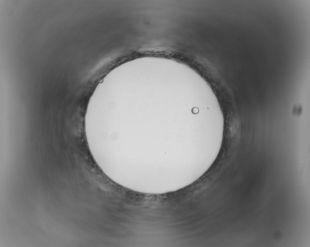 X0000112461350200909281010
