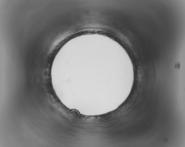 X0000112461352200909281010