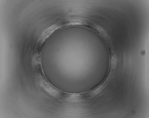 X0000112461353200909281010
