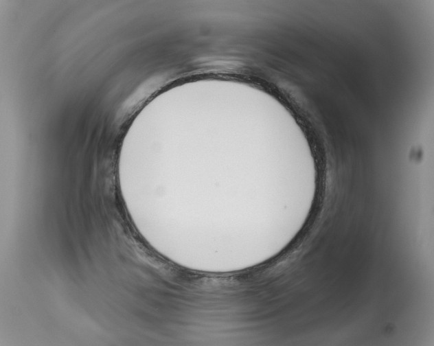 X0000112461354200909281010
