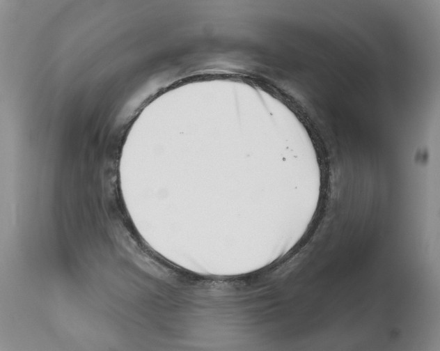 X0000112461355200909281010