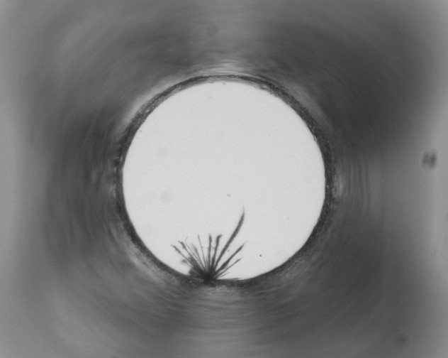 X0000112461356200909281010