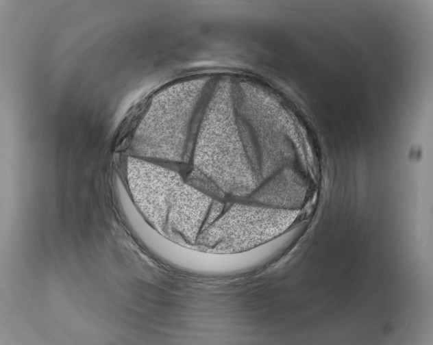 X0000112461357200909281010