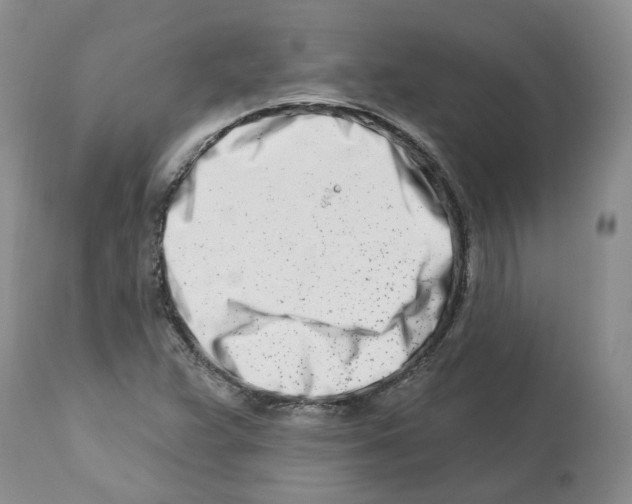 X0000112461359200909281010