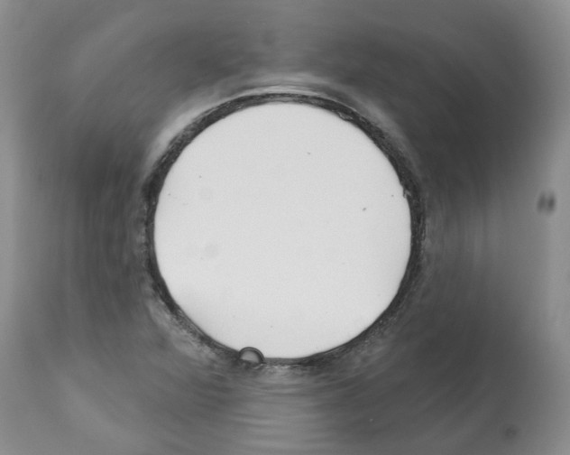 X0000112461360200909281010