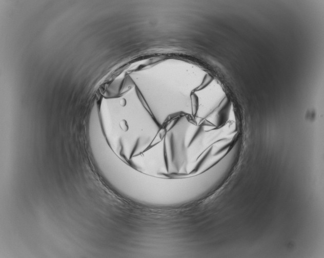 X0000112461361200909281010
